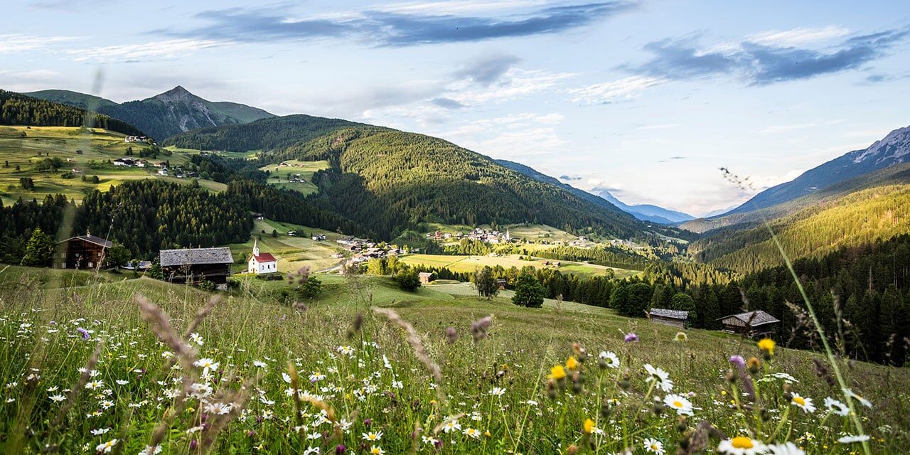 Slow Food für Kärnten: Südliche Wege zum achtsamen Genuss - Archiviert