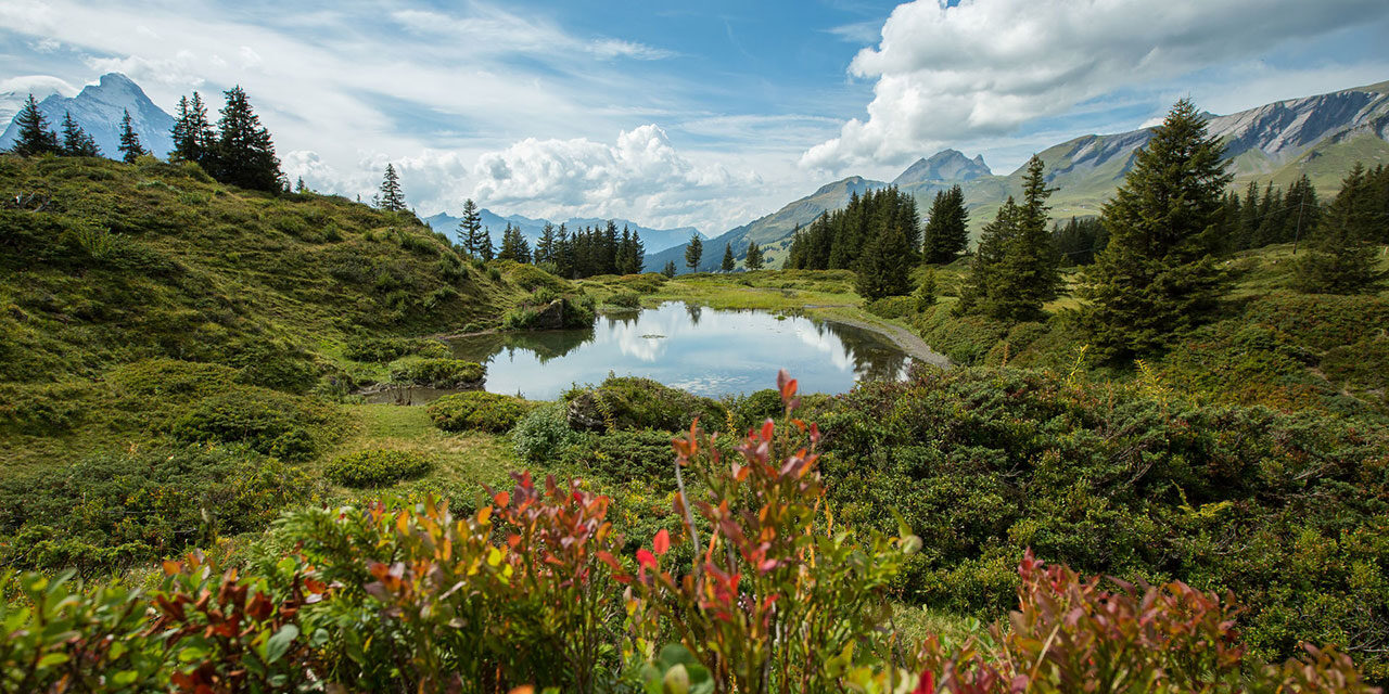 Glücklich im Haslital - Archiviert