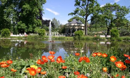 Ludwigsburg: Das Blühende Barock - Archiviert