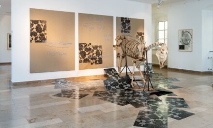 Städtischen Museen Heilbronn: Museum im Deutschhof: Peter Riek. Origin - Archiviert