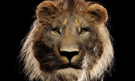 Reis-Engelhorn-Museen Mannheim: Eiszeit-Safari - Archiviert