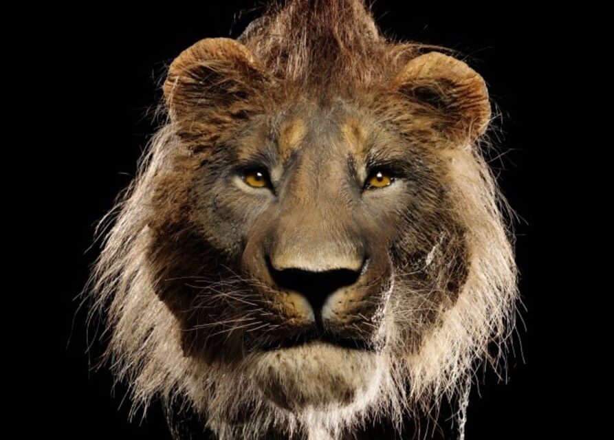 Reis-Engelhorn-Museen Mannheim: Eiszeit-Safari - Archiviert