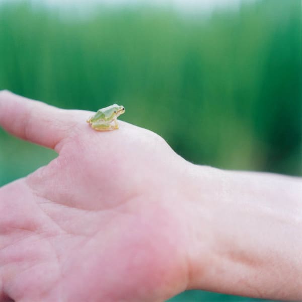 Kunstverein Heilbronn: Rinko Kawauchi - Archiviert