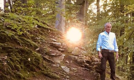 Bergwaldtheater Weissenberg: Kultur trifft Natur - Archiviert