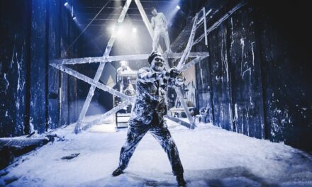 22. internationales figuren.theater.festival erlangen nürnberg fürth schwabach - Archiviert