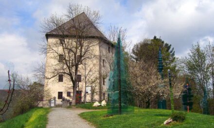 Museum Fressendes Haus in Regen - Archiviert