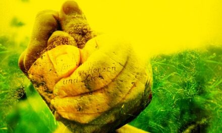 OPEN AIR im Spitalhof, Reutlingen: „Die Räuber” - Archiviert