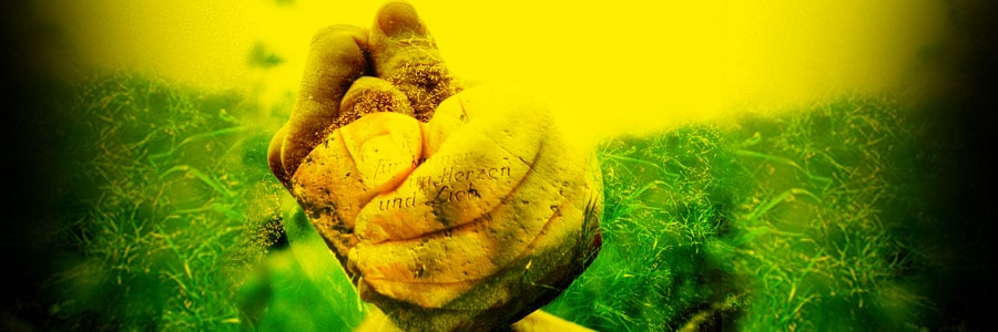 OPEN AIR im Spitalhof, Reutlingen: „Die Räuber” - Archiviert