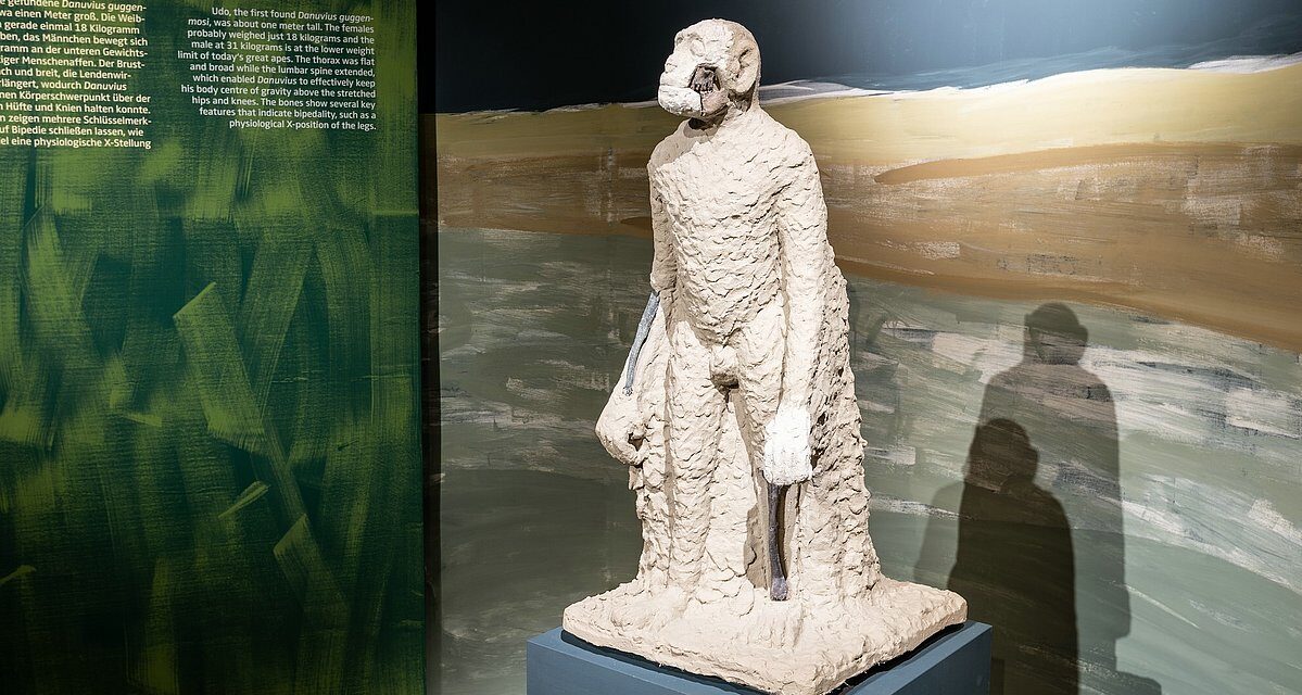 MUT Museum der Universität Tübingen: UDO – Der erste Fußgänger - Archiviert