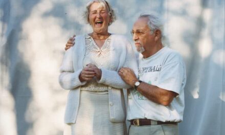 Brandenburgisches Landesmuseum für moderne Kunst – Dieselkraftwerk Cottbus - Archiviert