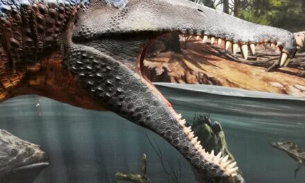 Lokschuppen Rosenheim: SAURIER. Giganten der Meere - Archiviert