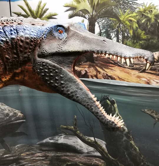 Lokschuppen Rosenheim: SAURIER. Giganten der Meere - Archiviert