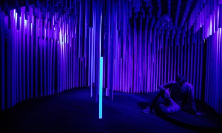 Leopold-Mozart-Haus in Augsburg - Archiviert