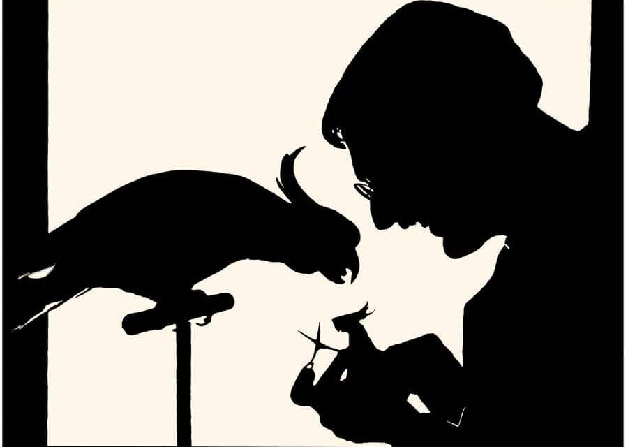 Kunstsammlungen der Stadt Limburg - Archiviert