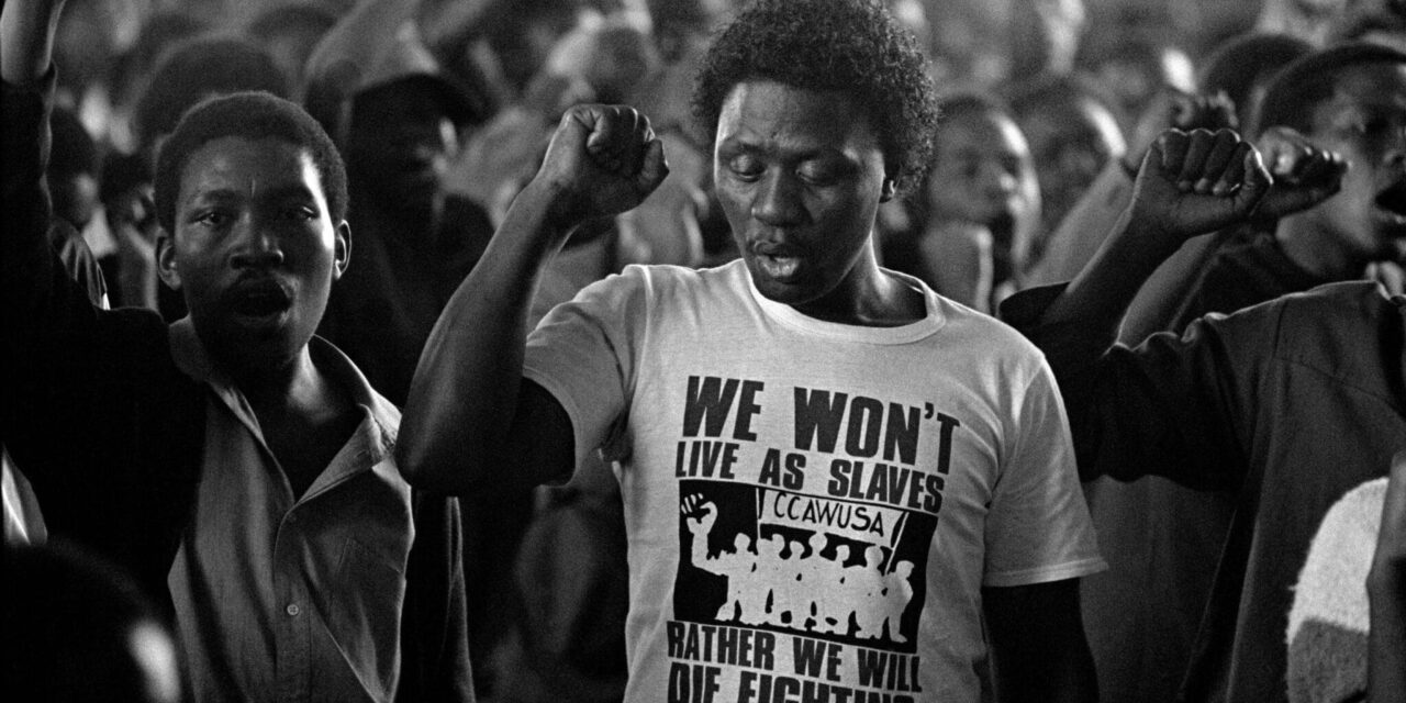 The Walther Collection in Neu-Ulm/ Burlafingen - Archiviert