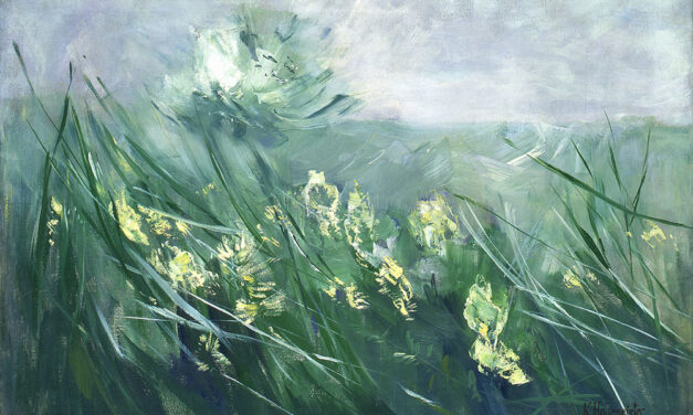 Museum Georg Schäfer Schweinfurt