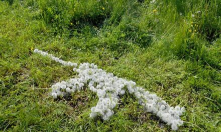 Kunsthalle Gießen - Archiviert