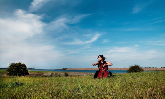 Die Festspiele Mecklenburg-Vorpommern