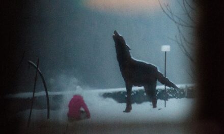 Kunstmuseum Bochum: „Abbild und Wirklichkeit” – Neue Fotoarbeiten von Stefan Hunstein - Archiviert