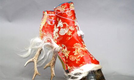 LUDWIGGALERIE Schloss Oberhausen: ART ABOUT SHOES – von Schnabelschuh bis Sneaker - Archiviert