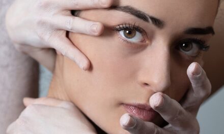 Das Salzburger Landestheater - Archiviert