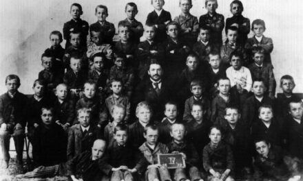 NORDICO – das Stadtmuseum Linz - Archiviert