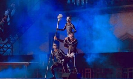 Die NEUEN BURGFESTSPIELE 2021 in Meißen - Archiviert