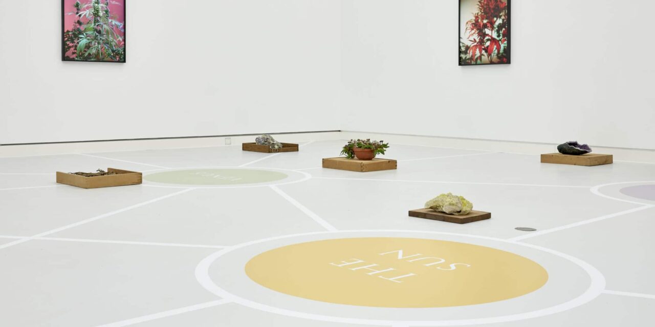 Die Kunsthalle Mainz: Sonderausstellung „Joachim Koester – The way out is the way in” - Archiviert