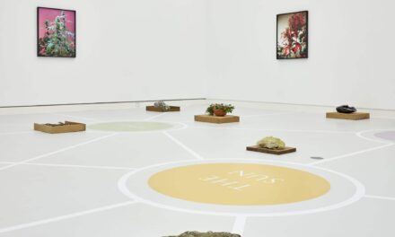 Die Kunsthalle Mainz: Sonderausstellung „Joachim Koester – The way out is the way in” - Archiviert