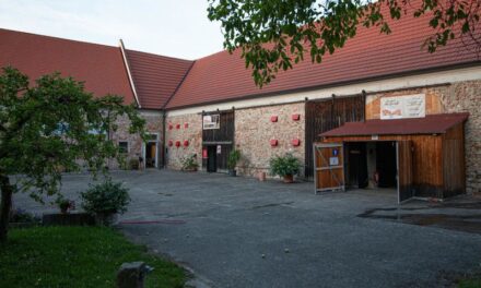 Theater Spectacel Wilhering im Sommer 2021: Open Air „Der Revisor” - Archiviert