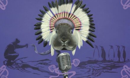 Der Museumsberg Flensburg - Archiviert