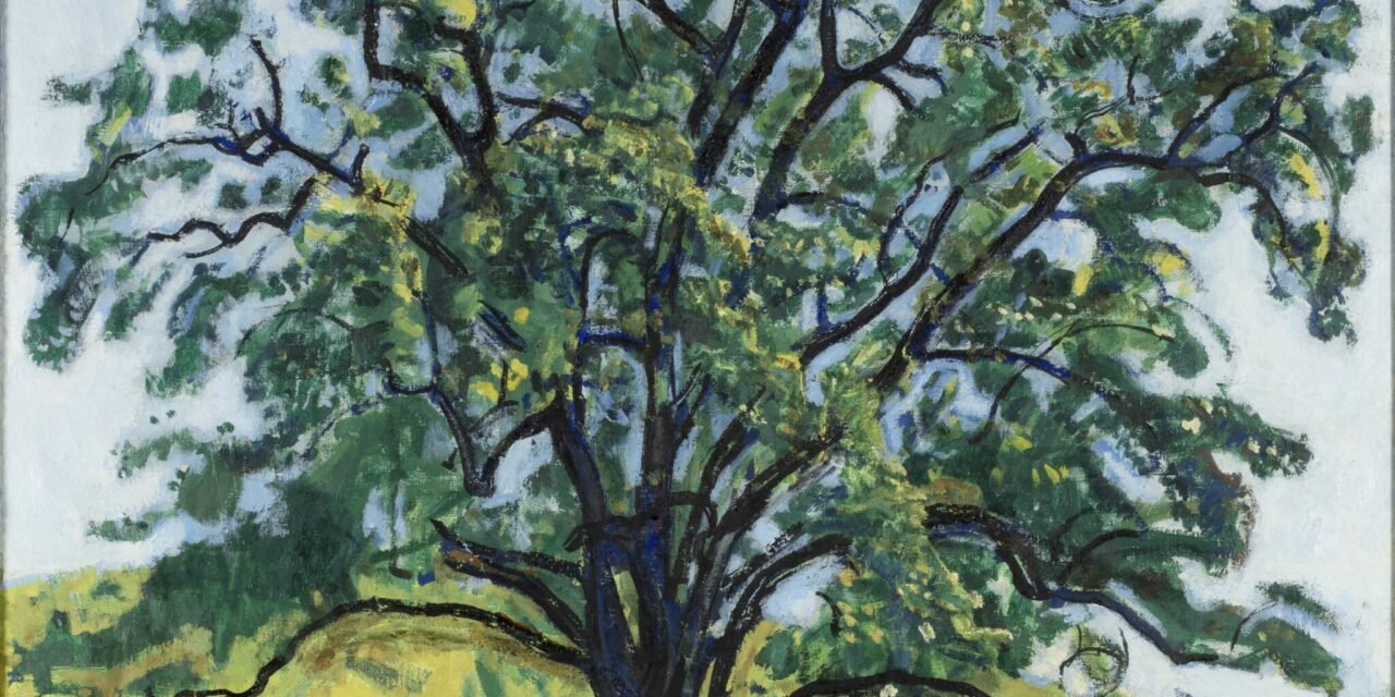 Das Kunstmuseum Thurgau: regionale Schwerpunkte und internationale Ausstrahlung - Archiviert