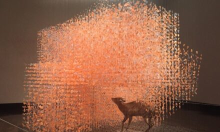 Saarlandmuseum, Moderne Galerie: Claire Morgan – All Things I Ever Lost - Archiviert