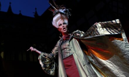 26. Wernigeröder Schlossfestspiele im Sommer 2021 - Archiviert