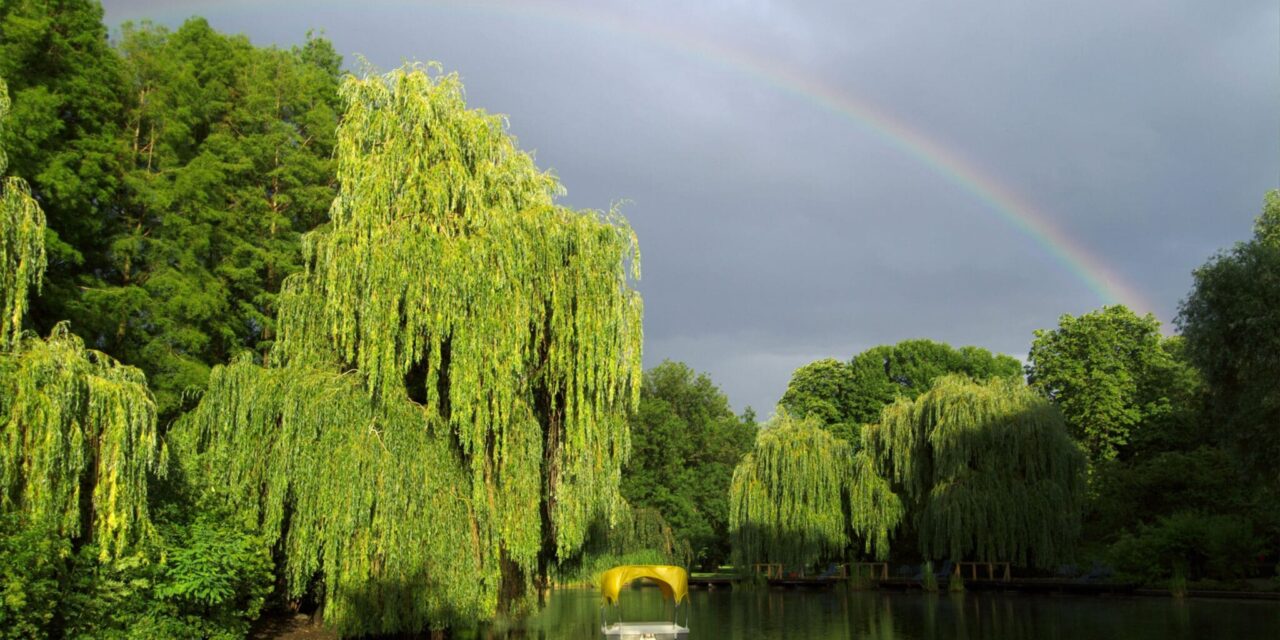 Der Luisenpark in Mannheim - Archiviert