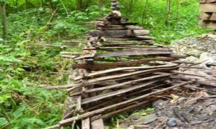 LandART und regionaler Genuss - Archiviert