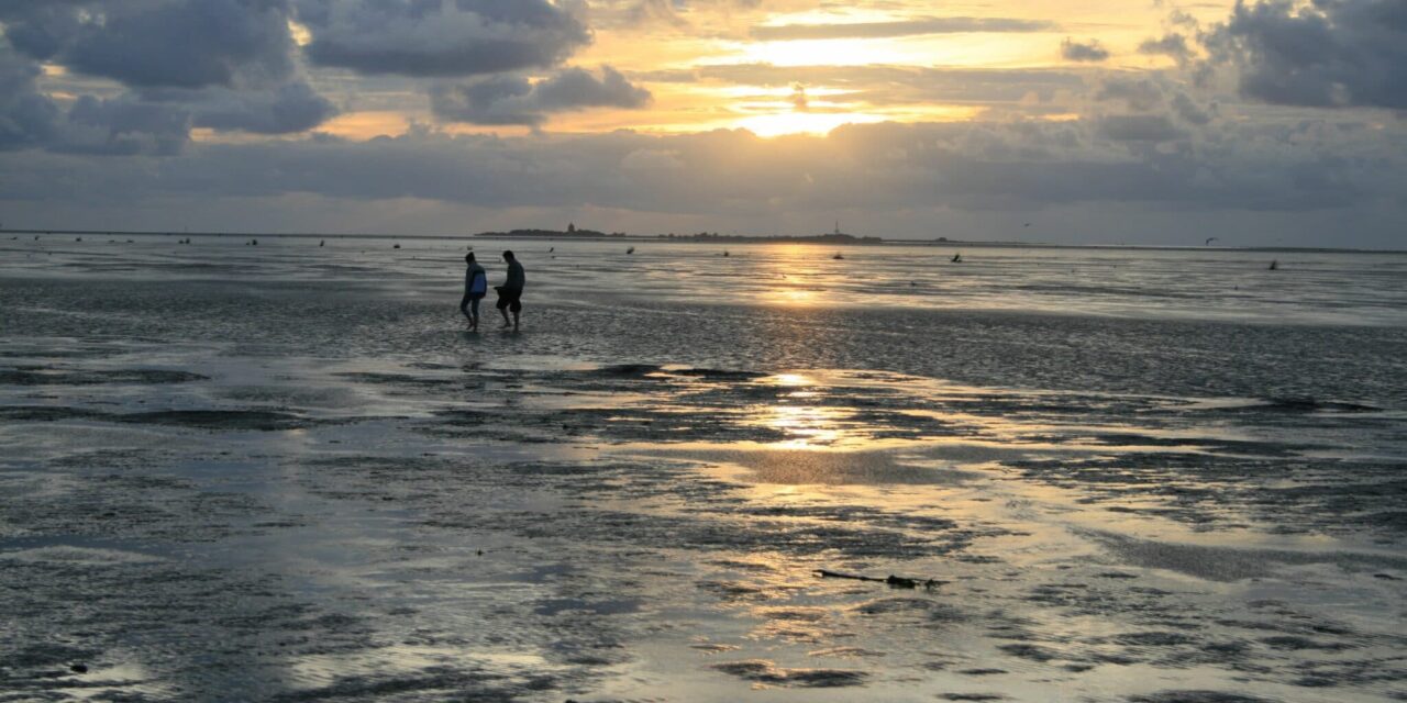 UNESCO Weltnaturerbe Wattenmeer – Cuxhaven mittendrin!