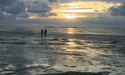 UNESCO Weltnaturerbe Wattenmeer – Cuxhaven mittendrin!