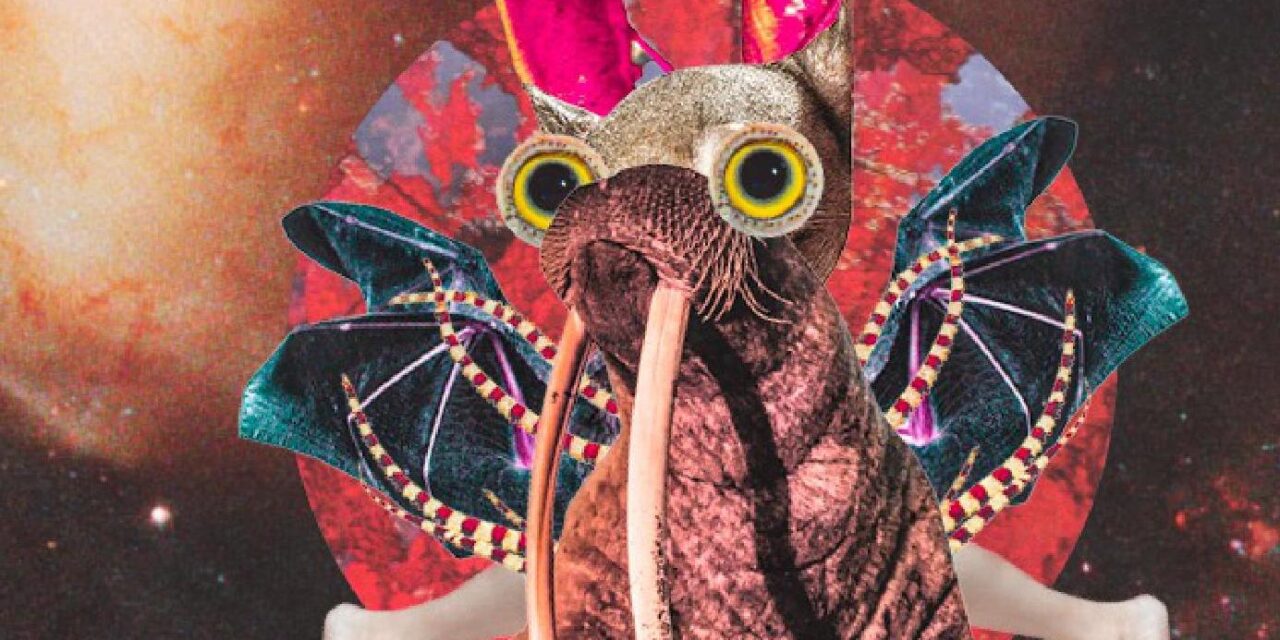 Habitat Festival 2021 in Hohenlockstedt - Archiviert