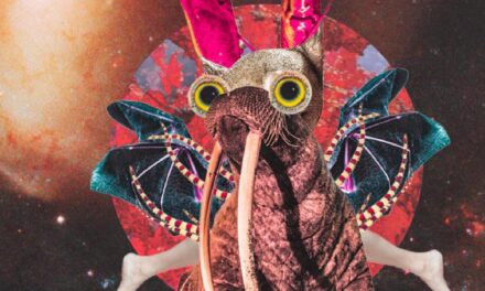 Habitat Festival 2021 in Hohenlockstedt - Archiviert