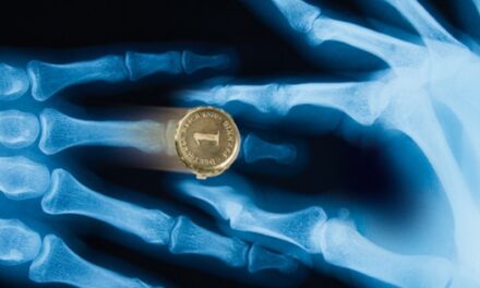 Das Oldenburg Staatstheater: Der Oldenburger Ring 2022 - Archiviert