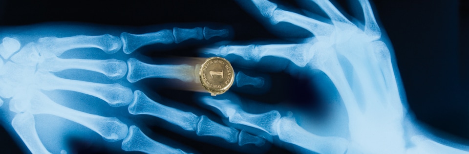 Das Oldenburg Staatstheater: Der Oldenburger Ring 2022 - Archiviert