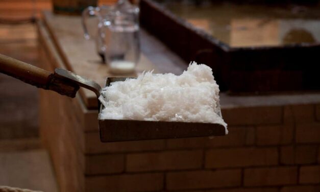 Schausiedehaus Schönebeck