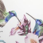 Meissen erleben in all seinen Facetten