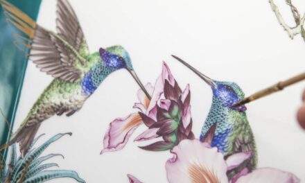 Meissen erleben in all seinen Facetten - Archiviert