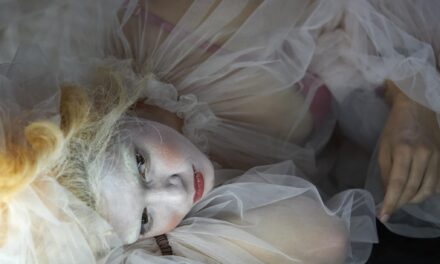 SCHLOSSPARK OPEN AIR: Die neue Sommerspielstätte des Landestheaters Linz! - Archiviert