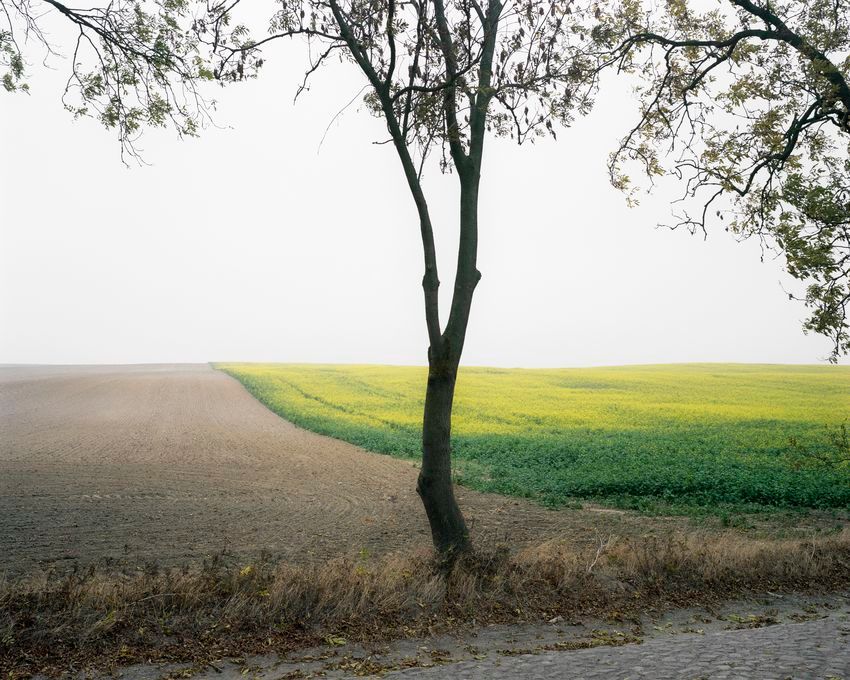 Hans-Christian Schink, zwischen Lemmersdorf und Kleisthöhe, 2016, aus der Serie „Hinterland” © Hans-Christian Schink