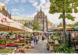 Domplatz Münster © Dagmar Schwelle