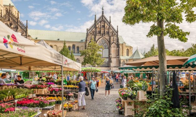 Münster & Münsterland: E-Bike & Enjoy