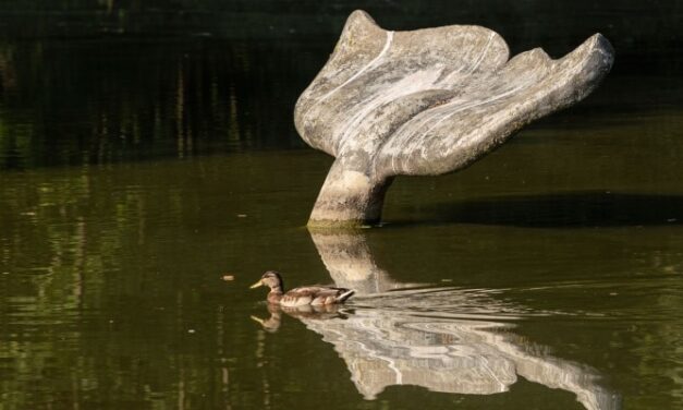 Kommunale Galerie Bielefeld: >MITBEWOHNER:INNEN< 